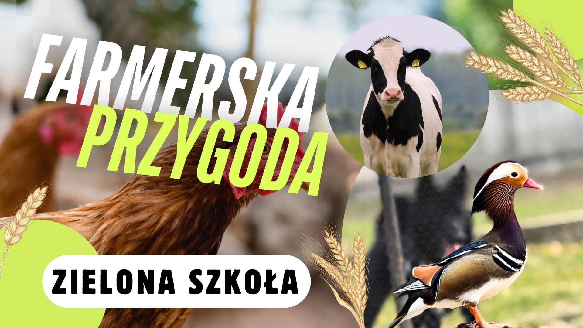FARMERSKA PRZYGODA ZIELONA SZKOŁA
