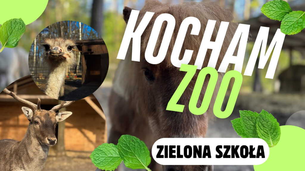KOCHAM ZOO ZIELONA SZKOŁA