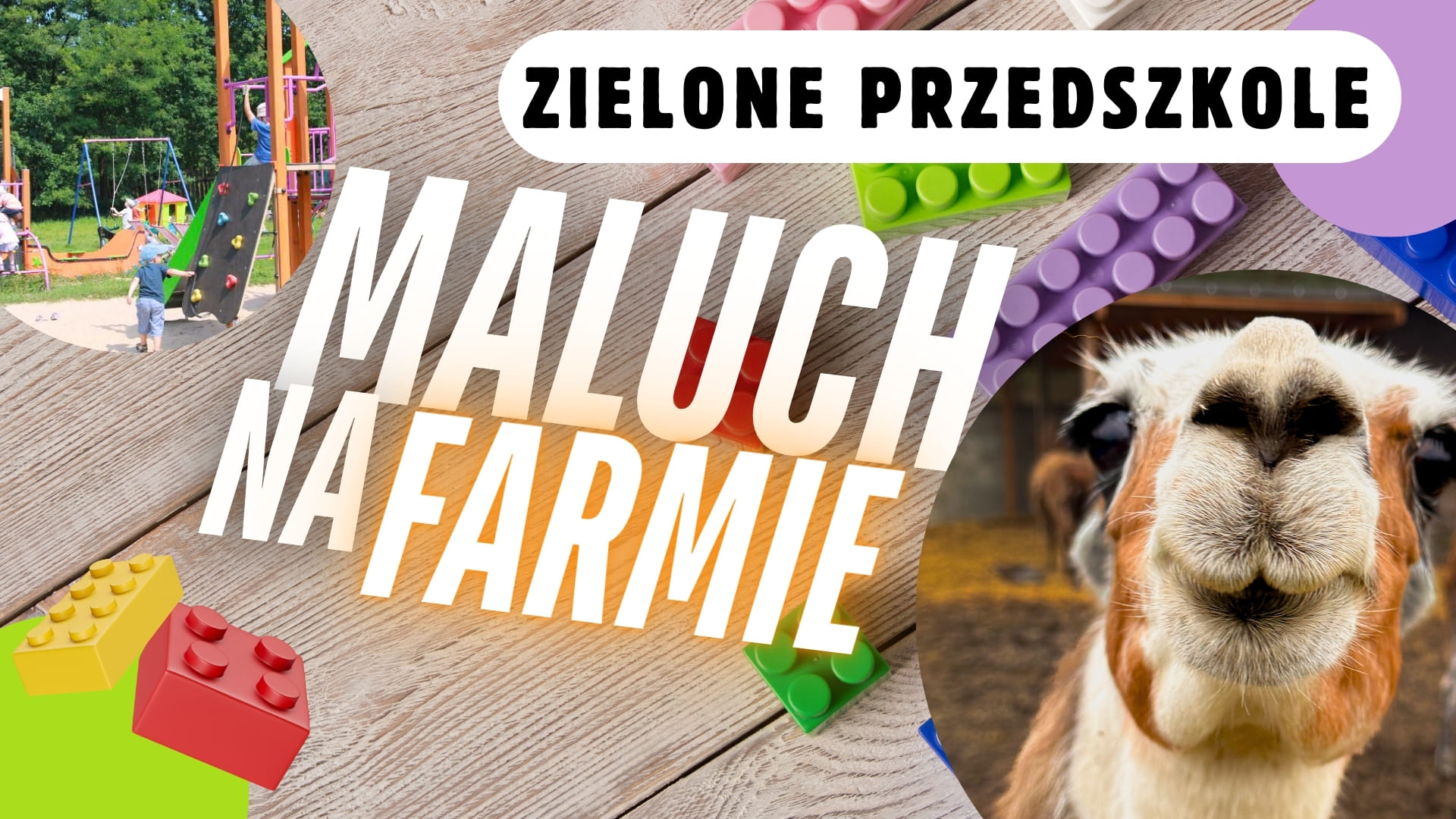 MALUCH NA FARMIE ZIELONE PRZEDSZKOLE