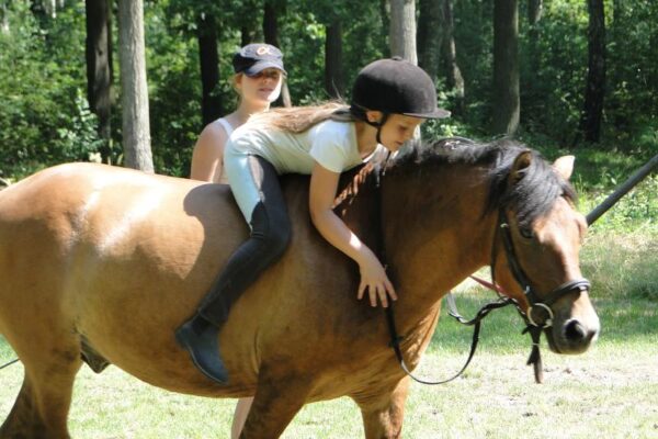 Nauka jazdy konnej (2) Nauka jazdy konnej (2)