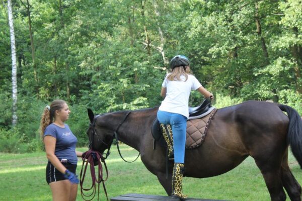 Nauka jazdy konnej (7) Nauka jazdy konnej (7)