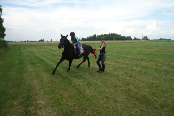 Nauka jazdy konnej na lonży Nauka jazdy konnej na lonży