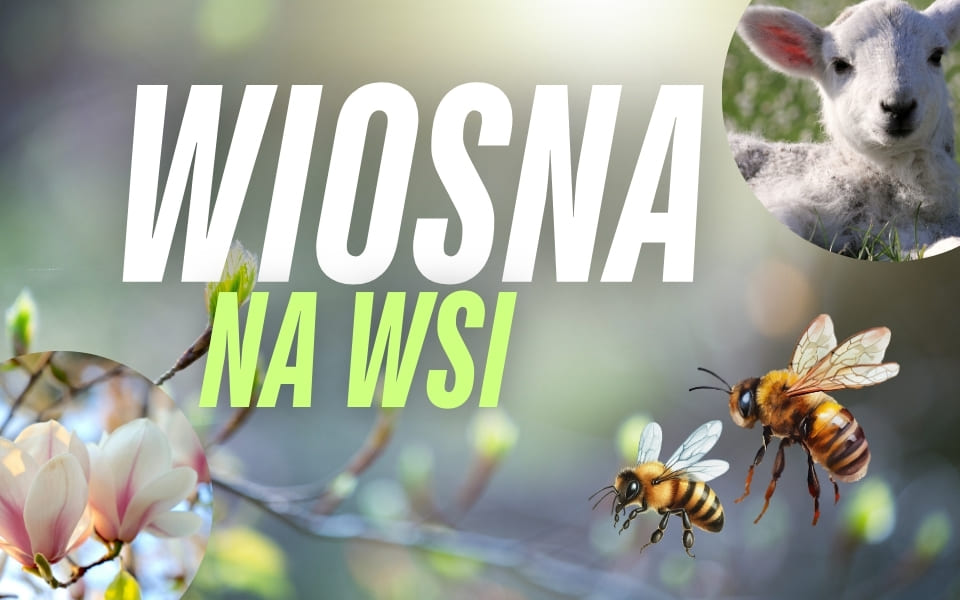 WIOSNA NA WSI (960 x 600 px)