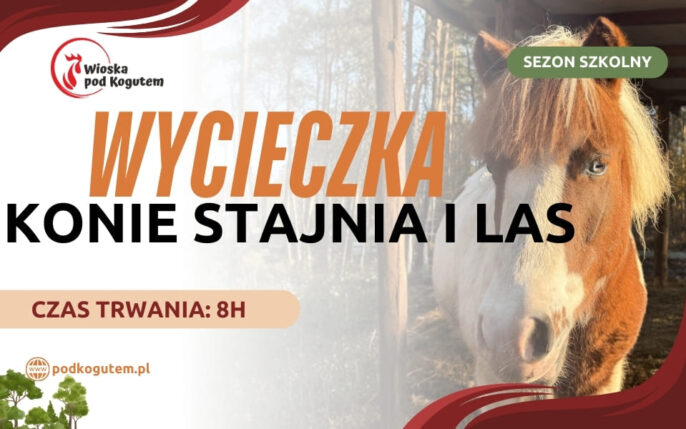 WYCIECZKA KONIE STAJNIA I LAS (960 x 600 px)