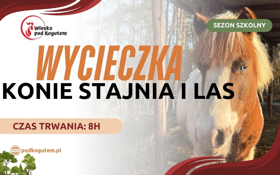 WYCIECZKA KONIE STAJNIA I LAS (960 x 600 px)