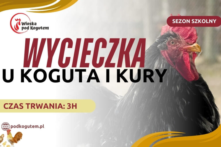WYCIECZKA U KOGUTA I KURY (960 x 600 px)