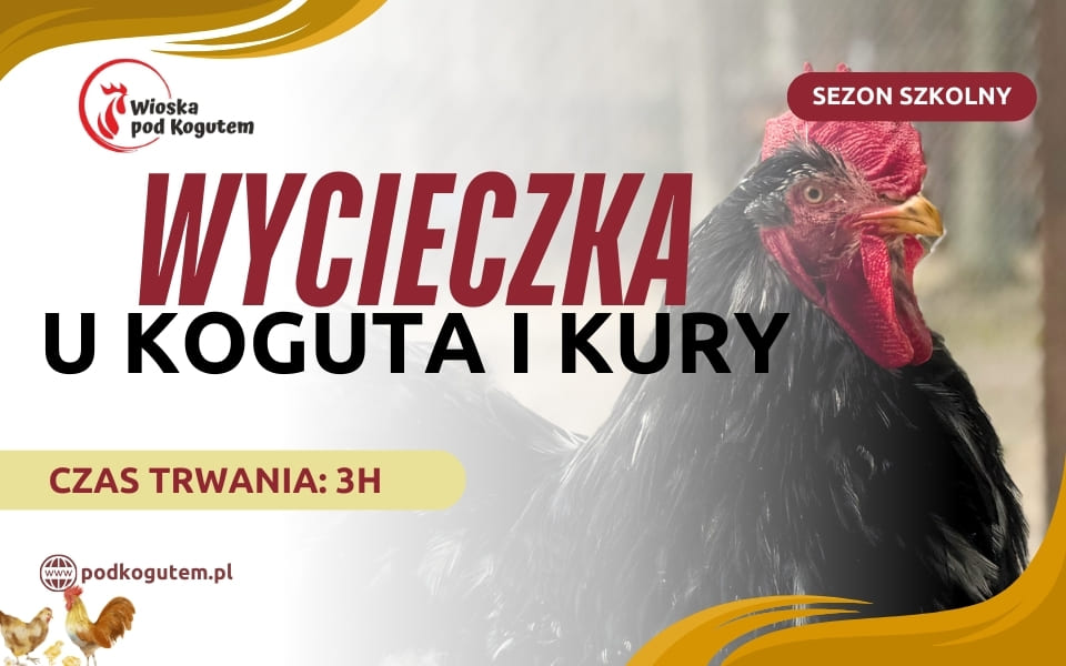 WYCIECZKA U KOGUTA I KURY (960 x 600 px)