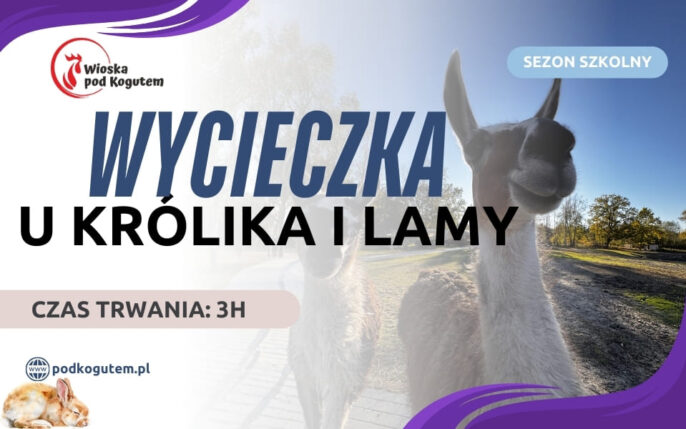 WYCIECZKA U KRÓLIKA I LAMY (960 x 600 px)