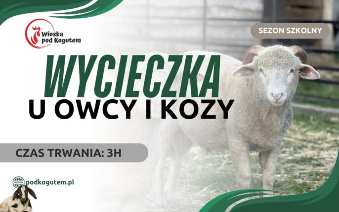 WYCIECZKA U WOCY I KOZY (960 x 600 px)