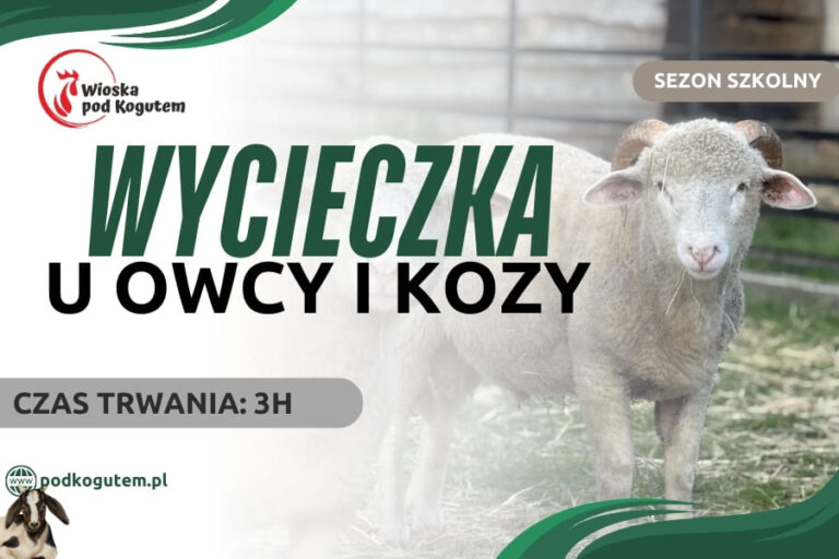 WYCIECZKA U WOCY I KOZY (960 x 600 px)
