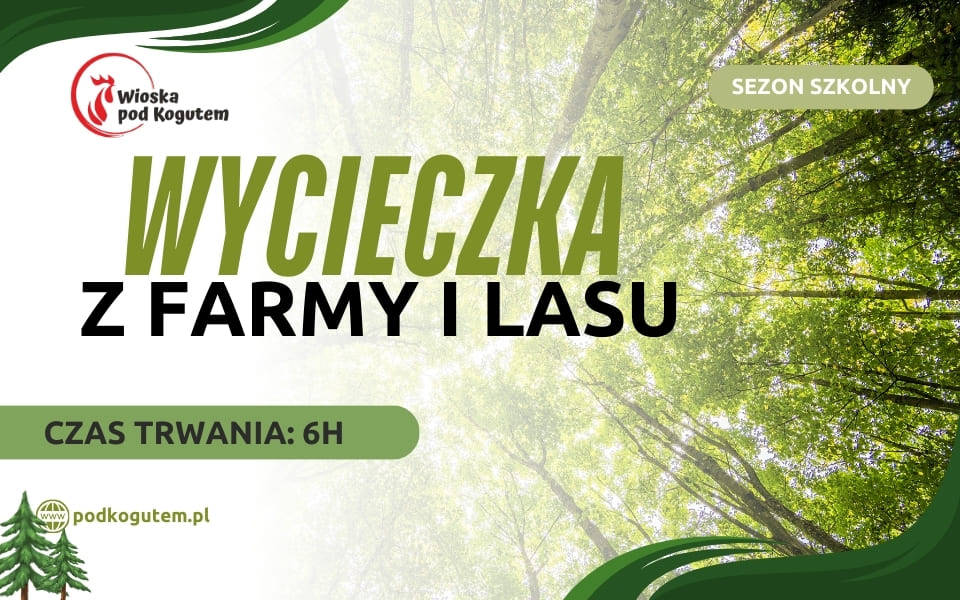 WYCIECZKA Z FARMY I LASU (960 x 600 px)