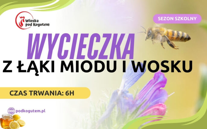WYCIECZKA Z ŁĄKI MIODU I WOSKU (960 x 600 px)