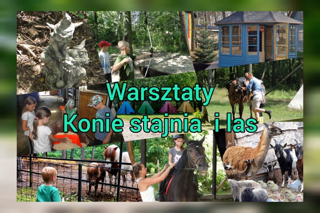 Warsztaty-konie-stajnia-i-las-min