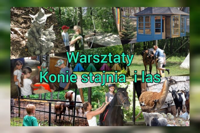 Warsztaty-konie-stajnia-i-las-min