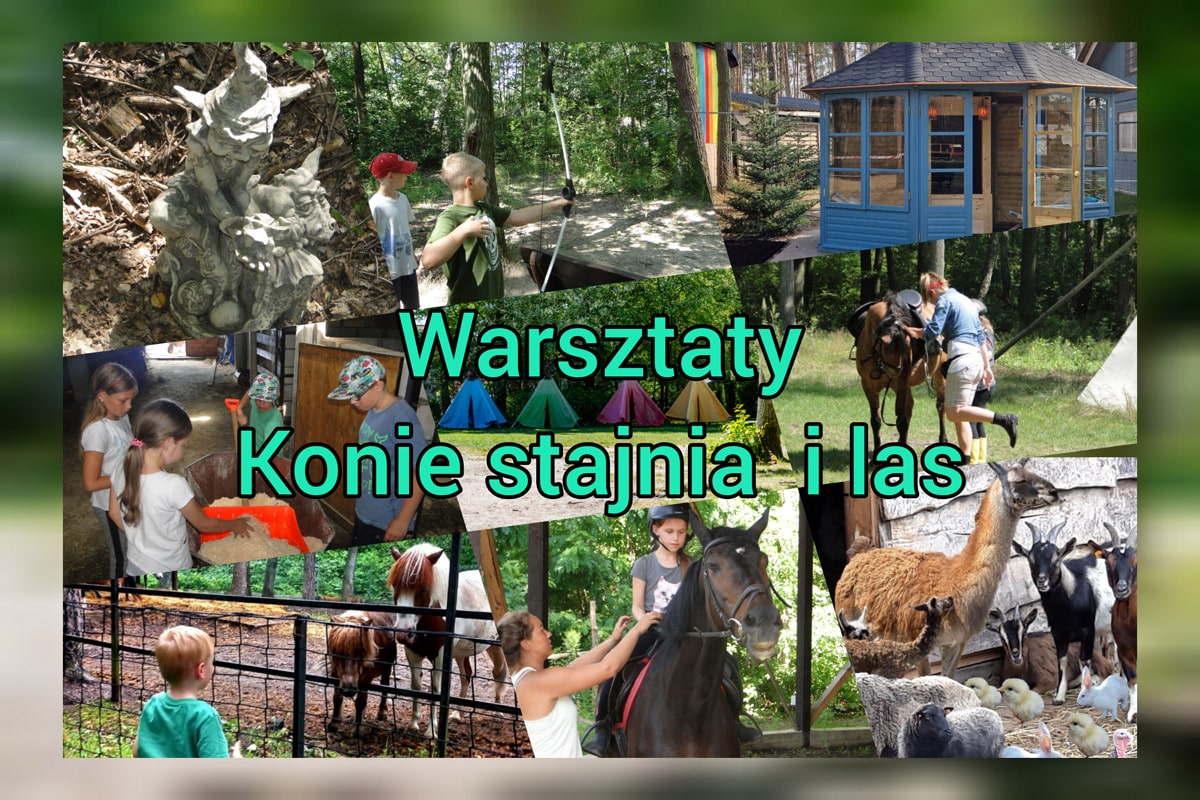 Warsztaty-konie-stajnia-i-las-min