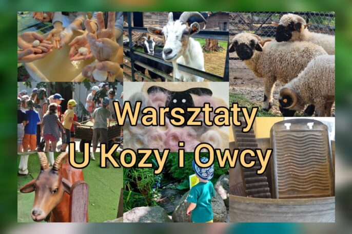 Warsztaty-u-kozy-i-owcy-min