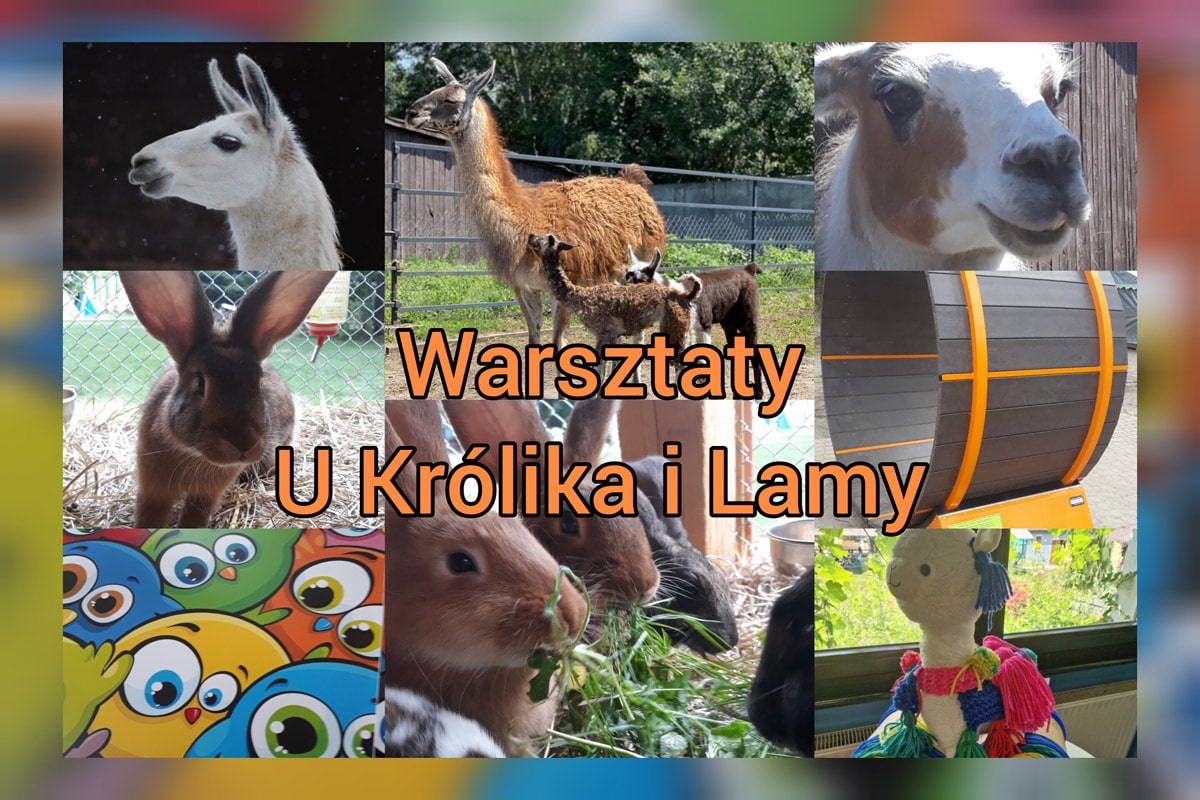Warsztaty-u-krolika-i-lamy-min