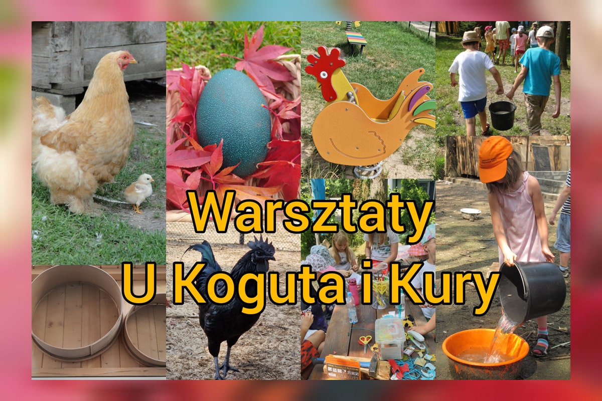 Warsztaty-u-kury-i-koguta-min