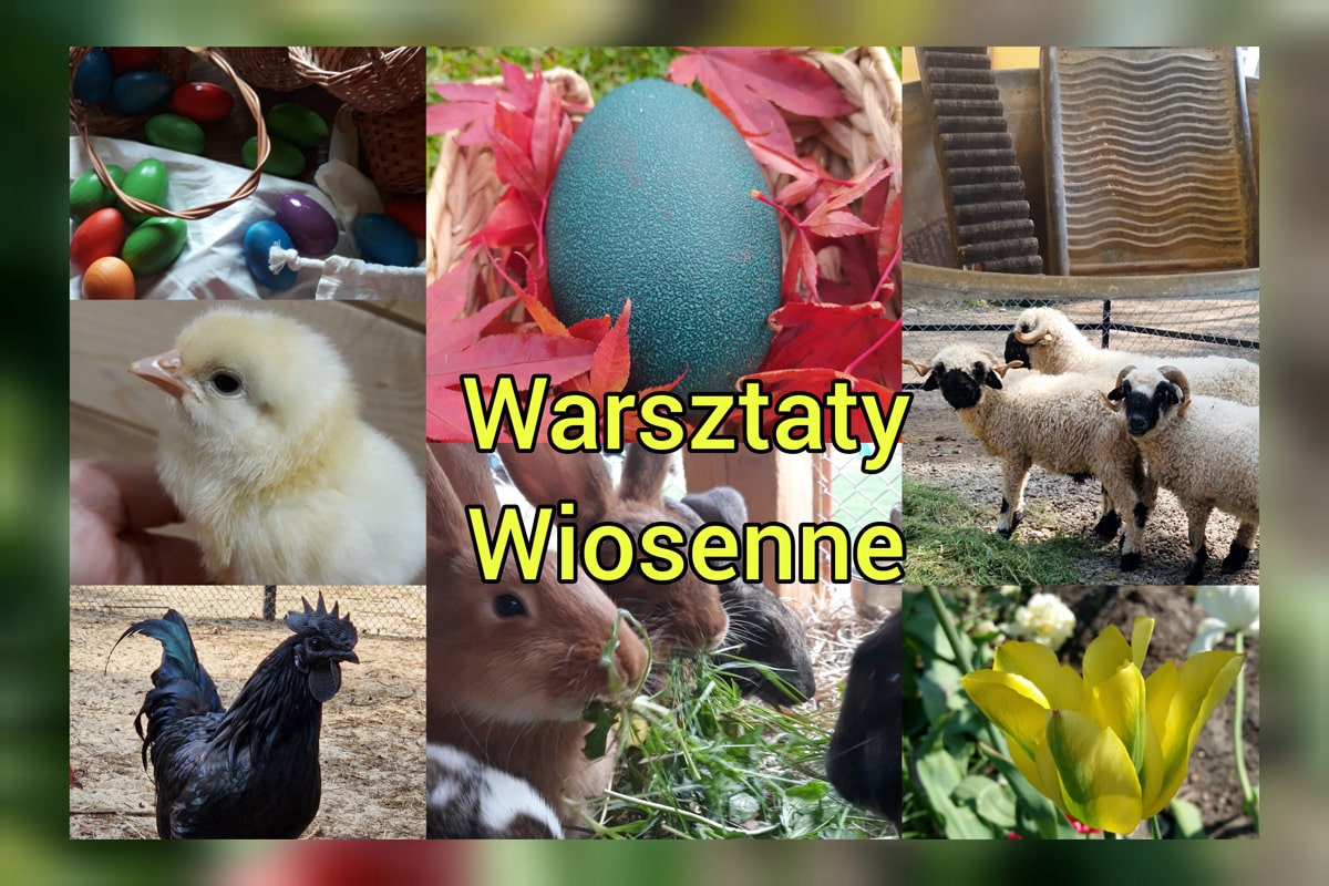Warsztaty-wiosenne-min