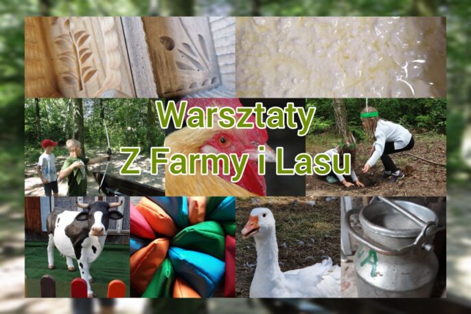 Warsztaty-z-farmy-i-lasu-min