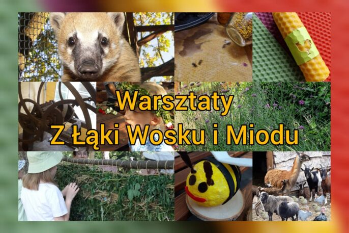 Warsztaty-z-laki-wosku-i-miodu-min