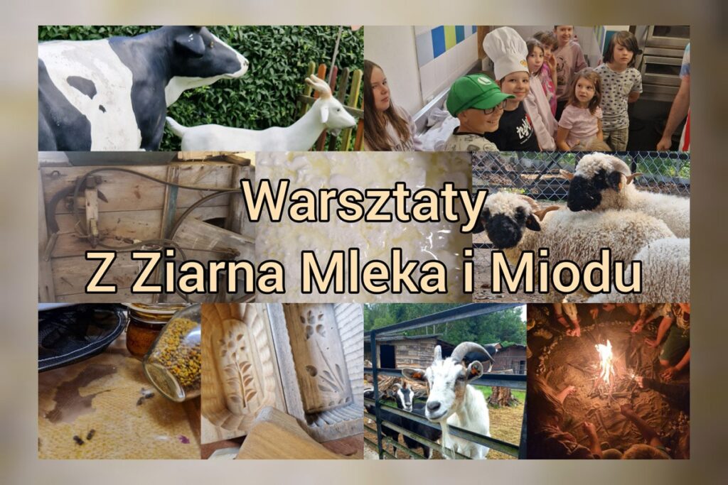 Warsztaty-z-ziarna-mleka-i-miodu-min