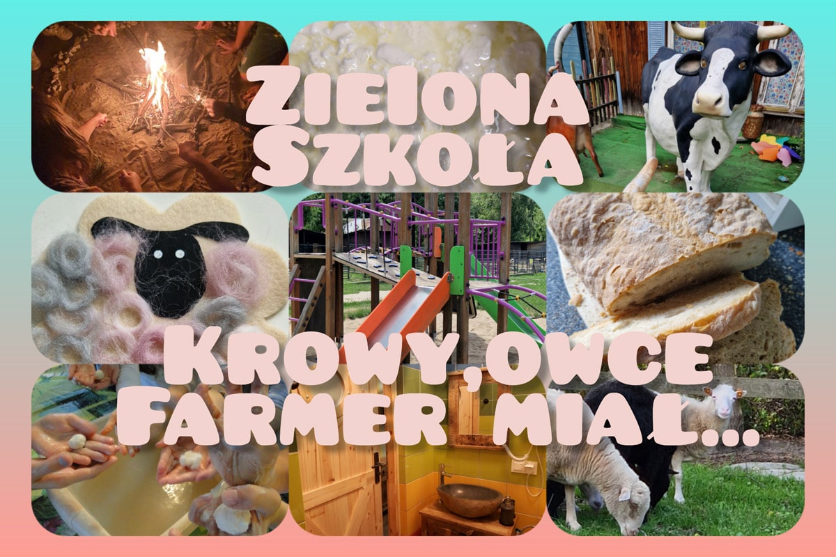 Zielona szkoła 2 dni
