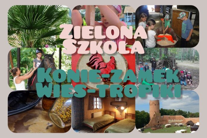 Zielona szkoła konie-zamek-wies-tropiki