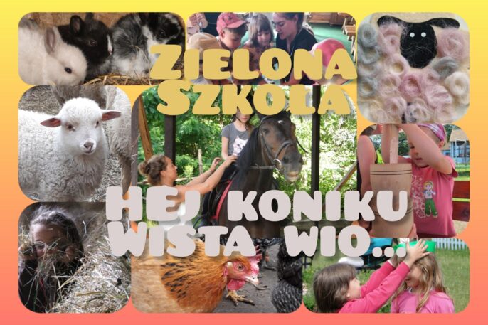 zielona szkioła 3 dni