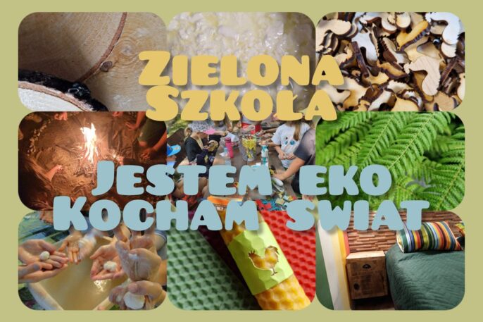 zielona szkoła 3 dni