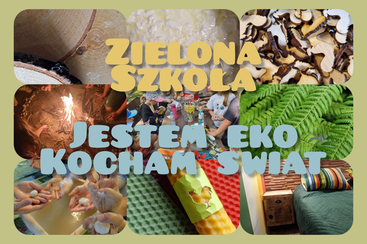 zielona szkoła 3 dni